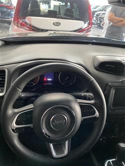 جیپ رێنێگەید